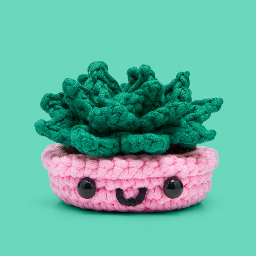 Wooble Where You're Planted Bundle