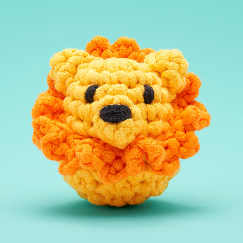 Lil' Lion Accessory Kit