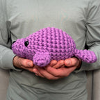 Gift to Hu-Manatee Bundle